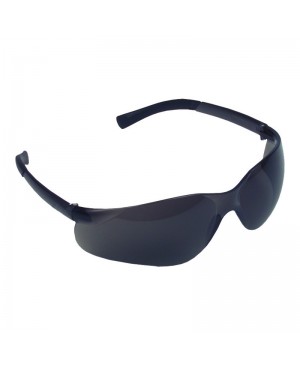 SGEL   Safety Glasses w/ Nylon matte frame 